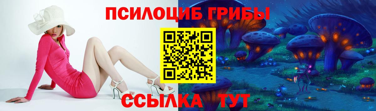 Новоалександровск  как найти закладки  Вход с VPN  Галлюциногенные грибы MAGIC MUSHROOMS  Галлюциногенные грибы Psilocybine cubensis 