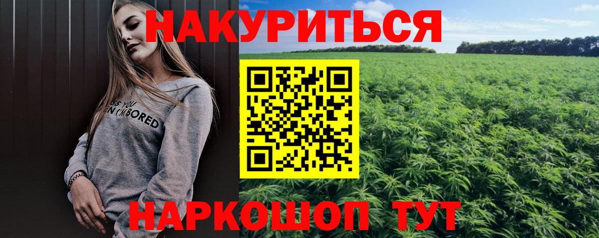 Шишки марихуана SATIVA & INDICA  Конопля семена  Бошки марихуана SATIVA & INDICA  Новоалександровск  Вход с VPN 